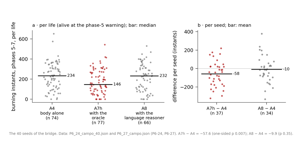 Instants burning in the final phases, per life, with the body alone, with the oracle and with the language reasoner (medians 234, 146 and 232; 40 seeds per arm, paired).